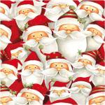 Santa Claus servetjes 20 stuks - Feestservetten