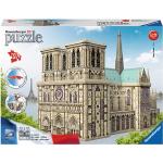 3D Puzzel - Notre Dame Parijs (324 stukjes)