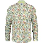Bohemian Groene A Fish Named Fred Poloshirts  in maat 3XL voor Dames 