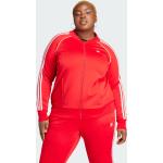 Rode adidas Adicolor Trainingsjacks  in Grote Maten voor Dames 