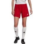Rode Polyester adidas Entrada Voetbalshorts  in maat M voor Dames 