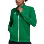 Groene Polyester adidas Entrada Trainingsjacks  in maat XS voor Dames 