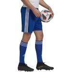Blauwe Polyester adidas Performance Voetbalbroeken  in maat XXL voor Heren 