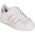 Witte adidas Superstar Lage sneakers  in maat 35,5 met Hakhoogte tot 3cm in de Sale voor Kinderen 