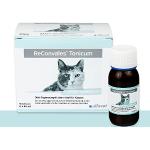 alfavet ReConvales® Tonicum kat, appetitaanregenend dieetvoer voor reconvalescentie en bij ondergewicht, 6 x 45 ml