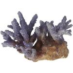 Aqua Della 234-431368 aquariumdecoratie Coral Acropora, lila