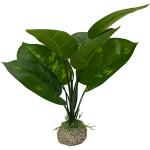 Aqua Della, Kunstplant van flexibele kunststof Phoenix XL – 56 cm groen, robuuste voet, biedt schubben en reproductiemethoden, geschikt voor aquaria en terraria