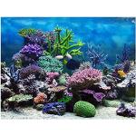 Koralen Aquarium achterwanden met motief van Vis 