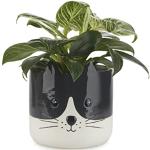 Balvi Bloempot Kitty Zwart Wit kleur Originele pot met kitten design Keramiek 13,7x13,5x13,5