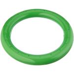 Groene Beco Zwembanden voor Kinderen 