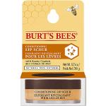 BurtÂ's Bees Lip Scrub Conditioning