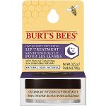 BurtÂ's Bees Lip Treatment Overnight Intensive