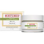Hypoallergene Burts Bees Nachtcrèmes Hypoallergeen voor een gevoelige huid Parabeenvrij met Aloe Vera 