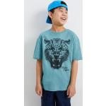 Turquoise Jersey C&A Gestreepte T-shirts met motief van Luipaard 2 stuks voor Heren 