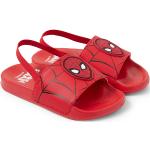 Rode Polyester C&A Spider-Man Herenschoenen  in 32 