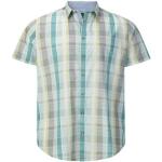 Turquoise Geblokte Geruite overhemden  in Grote Maten  in maat 4XL voor Heren 