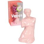 DOIY - Moderne decoratieve vaas - Ontwerp van de Griekse godin Venus - Van Keramiek - Bloemenvaas - Decoratieve Vaas - Roze - 16x16x31cm