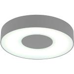 Eco Light Moderne buitenlamp voor muren of plafonds Ublo IP54, rond, diameter 26,3 cm, zilver 3481 L SI