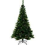 Groene Eglo Kerstbomen in de Sale 