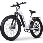 Elektrische fietsen  met 7 versnellingen met motief van Fiets voor Dames 