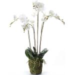 Witte Kunststof Kunstmatige bloemen & planten met motief van Orchidee 