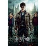 Multicolored empireposter Harry Potter Posters 