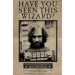 Multicolored Kartonnen empireposter Harry Potter Sirius Black Posters met motief van Europa 
