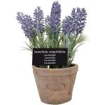 Lavendel Design bloempotten 