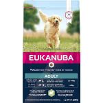 EUKANUBA premium hondenvoer met lamvlees & rijst voor grote rassen - droogvoer voor volwassen honden, 2,5 kg