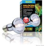 Exo Terra Halogeen Basking Spot - Breed spectrum daglichtlamp, 50 W
