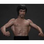 FABIIA Afneembare 19Cm Limited Edition Bruce Lee Figuur Storm Collectibles The Martial Artist Series Premium Action Figures Boxed Pvc Standing Adult Toy Ornament Toy Poll Desktop Gift Baub/Geen Cadeau