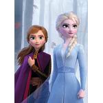 Multicolored Houten Komar Frozen Elsa Posters 