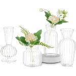 Moderne Transparante Glazen Bloemen Vazen 