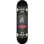 Zwarte Specialized Maple skateboards 