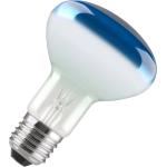 Gloeilamp Reflectorlamp | Grote fitting E27 | 60W 80mm Blauw