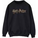Multicolored Polyester Harry Potter Hoodies  in maat 3XL voor Heren 
