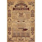 Multicolored Pyramid Harry Potter Hogwarts Posters in de Sale 