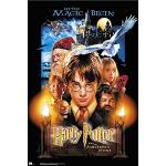 Multicolored Houten empireposter Harry Potter Filmposters 