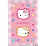 Multicolored Acryl empireposter Hello Kitty Posters 