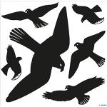 Zwarte Glazen Herma Raamfolie met motief van Vogels 