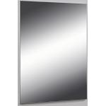 Homexperts Sleek spiegel, glas, spiegelglas, 60 x 80 x 2 cm