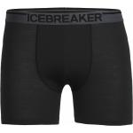Merinowollen Icebreaker Boxershorts  in maat XXL voor Heren 