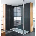Kermi Walk-in Shower Wall Inloopdouche 118 X 200 Cm. Matzilver-helder Glas