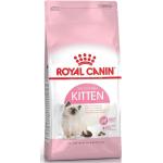 Royal Canin Kittenvoer in de Sale 