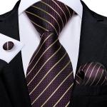 Klassieke Zijden Gestreepte Gestreepte stropdassen voor Heren 