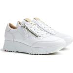 Witte Schokabsorberend Lloyd Sneakers met rits  voor de Zomer  in maat 37 met Ritssluitingen in de Sale voor Dames 