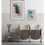 Multicolored Grenen Komar Fotolijsten  in 50x70 met motief van Papegaai 