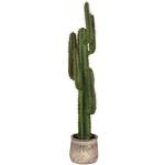 Groene Kunststof Label 51 Kunstmatige bloemen & planten met motief van Cactus 