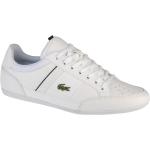 Witte Lacoste Chaymon Herensneakers 