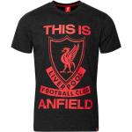 Casual Grijze Polyester Liverpool F.C. T-shirts met opdruk  in maat L voor Heren 